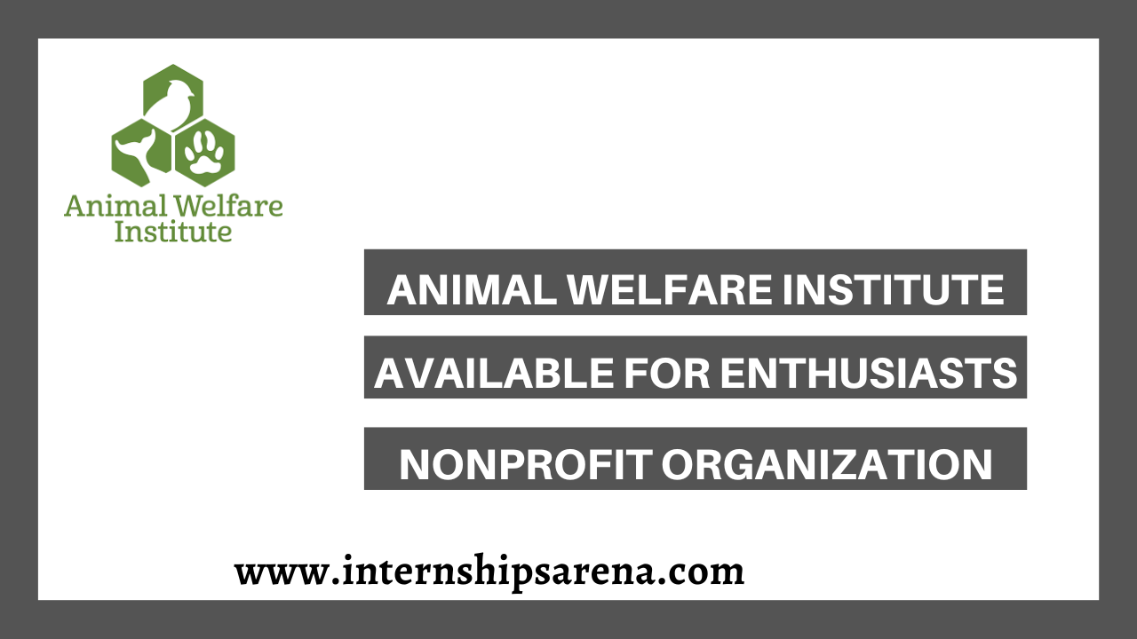 Animal Welfare Institute Internships