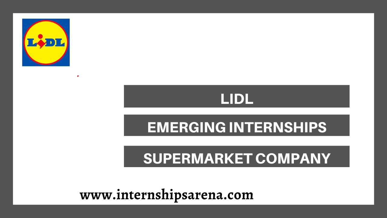 Lidl Internship