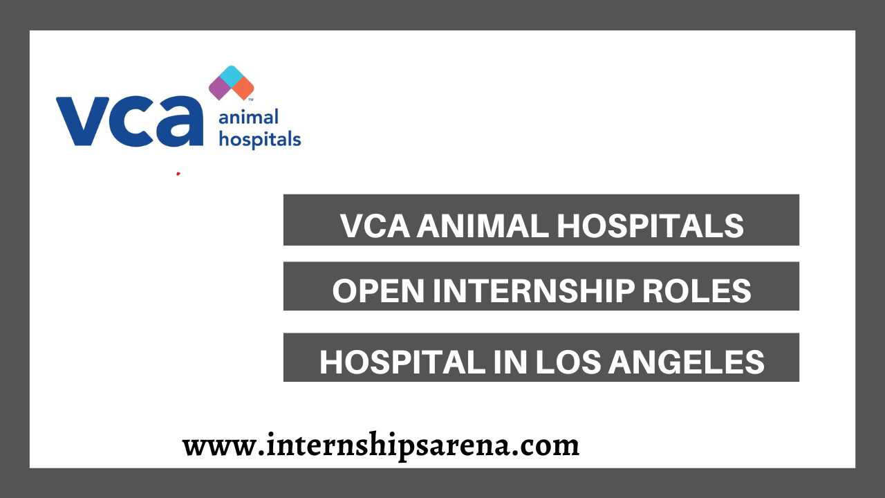 VCA Internships