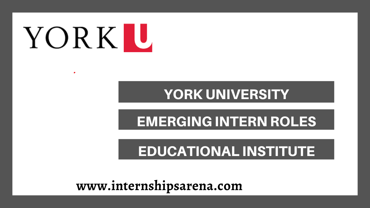 York University Internships