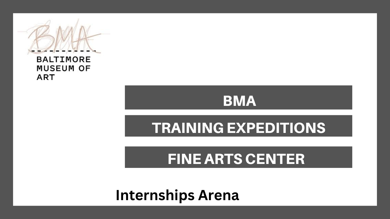 Baltimore Museum Of Art Internships
